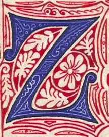 Zambia "Z" logo